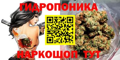 ECSTASY Кунгур