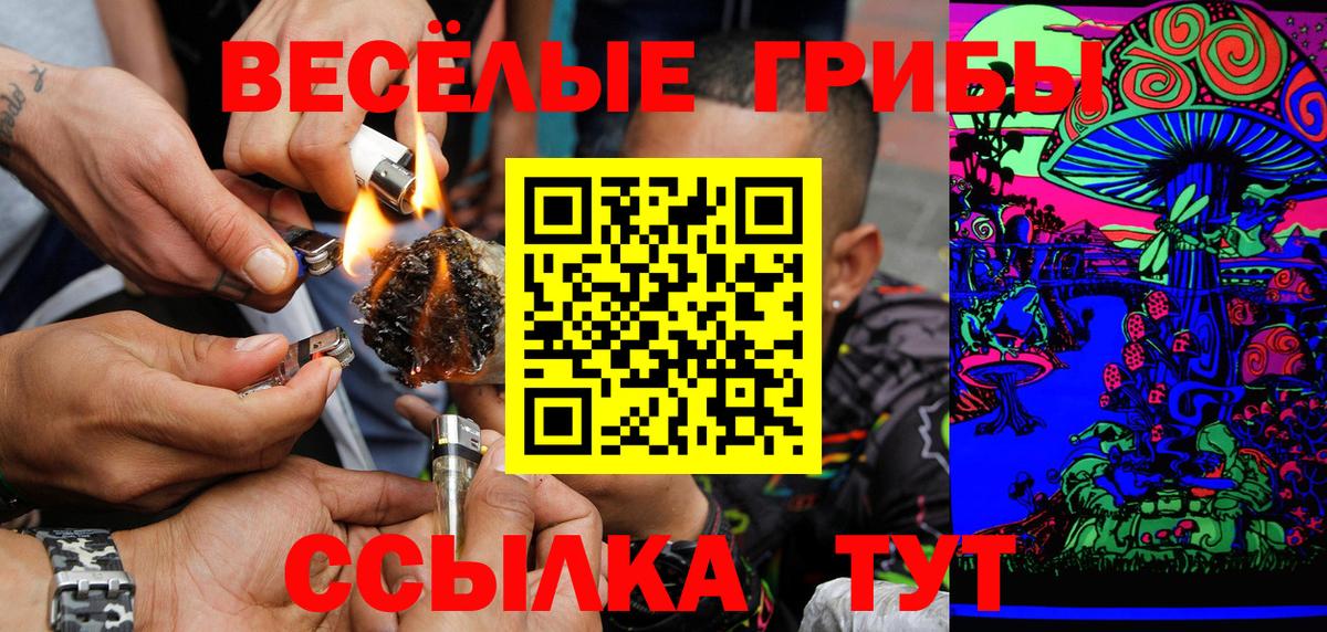 Псилоцибиновые грибы GOLDEN TEACHER Заводоуковск